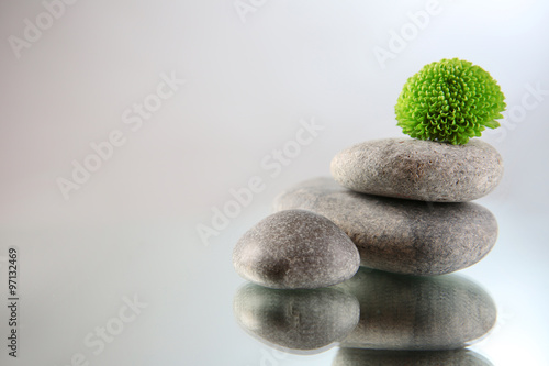 Spa stones and flower on light gray background