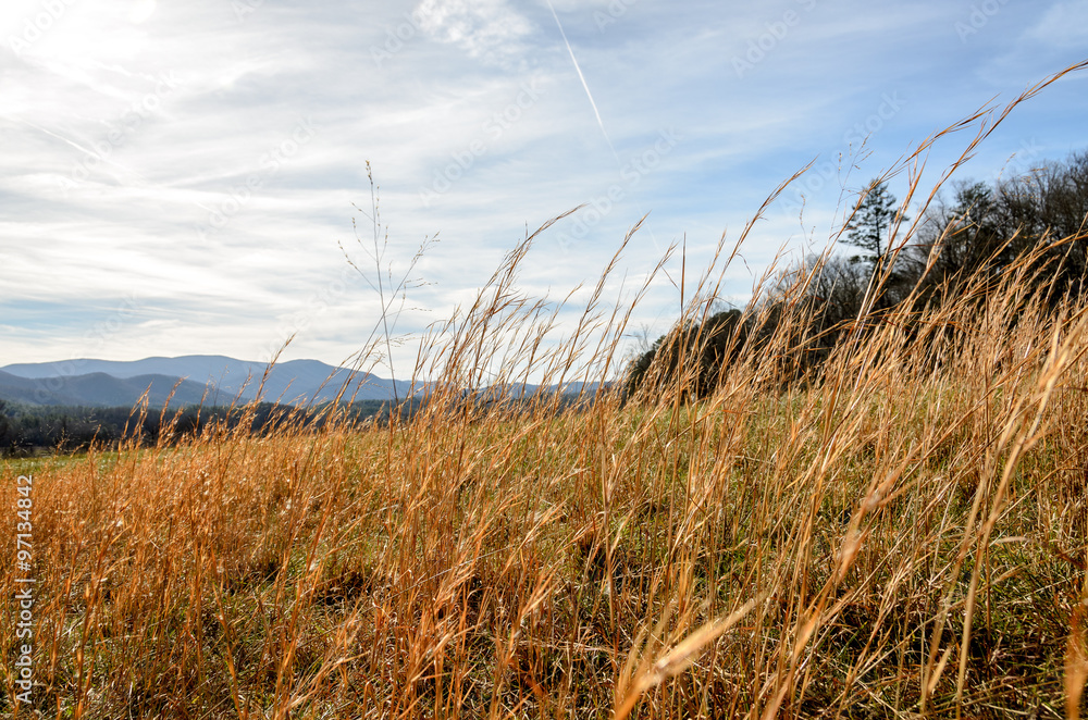 Fototapeta premium Road trip to Tennessee