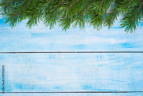 Winter christmas background with fir branches
