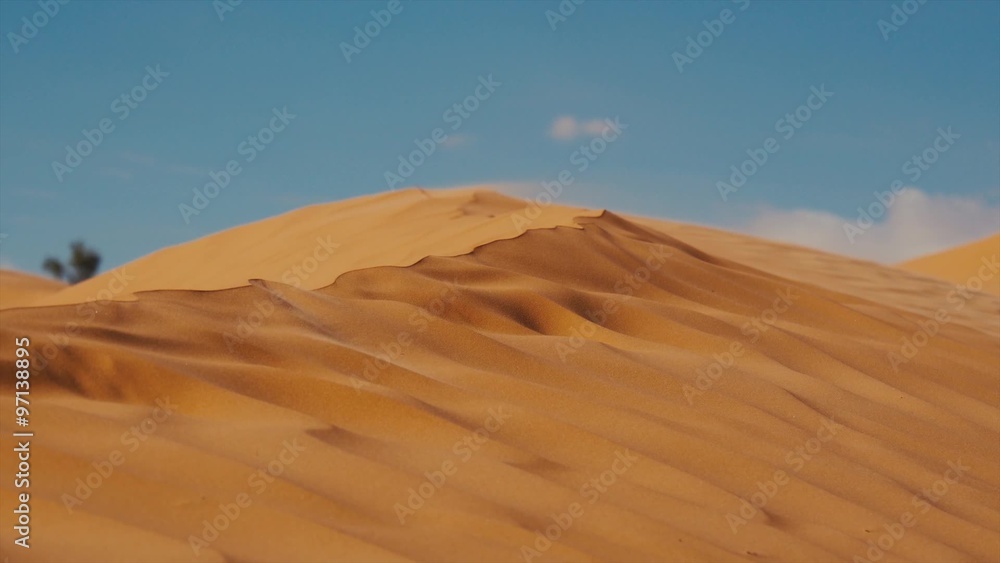Sahara Landscape, Dunes and Wind Sahara Landscape, Dunes and Wind