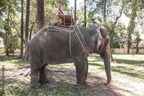 Elephant with seat for riding