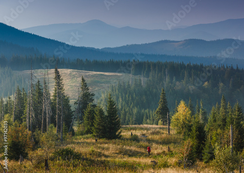 Backpacker in the mountains walking through the hills covered by forest on background. © vovik_mar