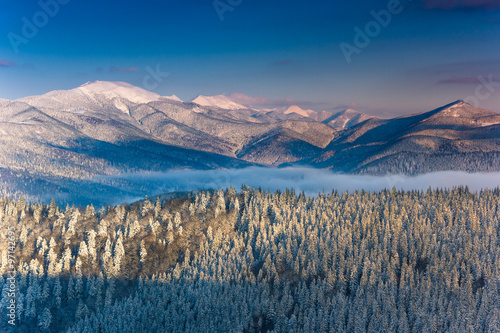 Beautiful winter landscape, forest covered by snow and peaks in distance.