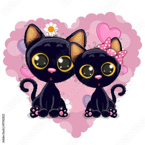 Two Black Kittens