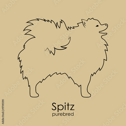 Spitz