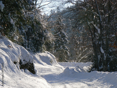 Neige dans les Alpes - Snow in the Alps (Vercors), France