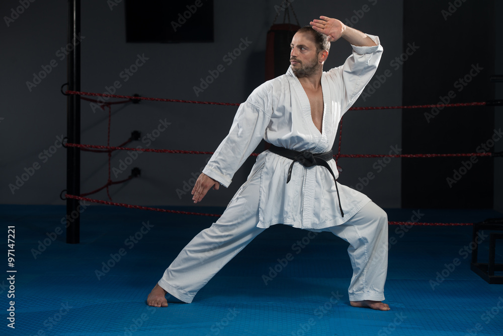 Black Belt Karate Expert With Fight Stance