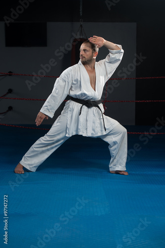 Taekwondo Fighter Pose