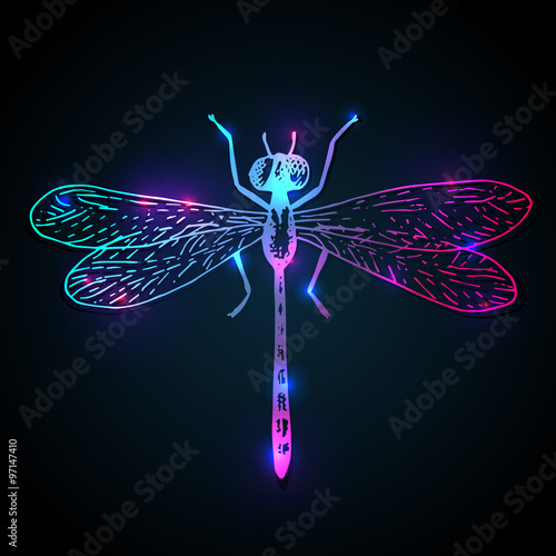 Vector dragonfly illustration, hand drawn sketch
