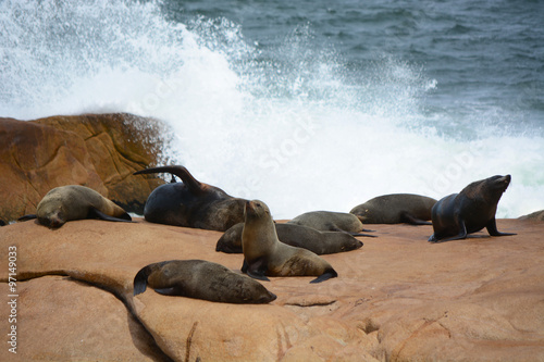 cabo polonia uruguay