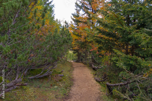 Mountain trail