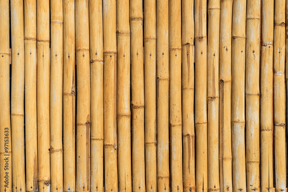 Fototapeta premium Bamboo texture background