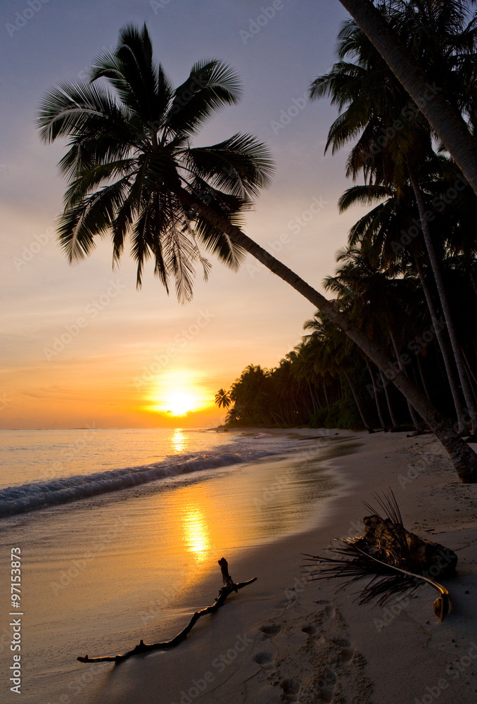 The beach on the tropical island. Dawn. Indonesia. Indian Ocean. An excellent illustration.