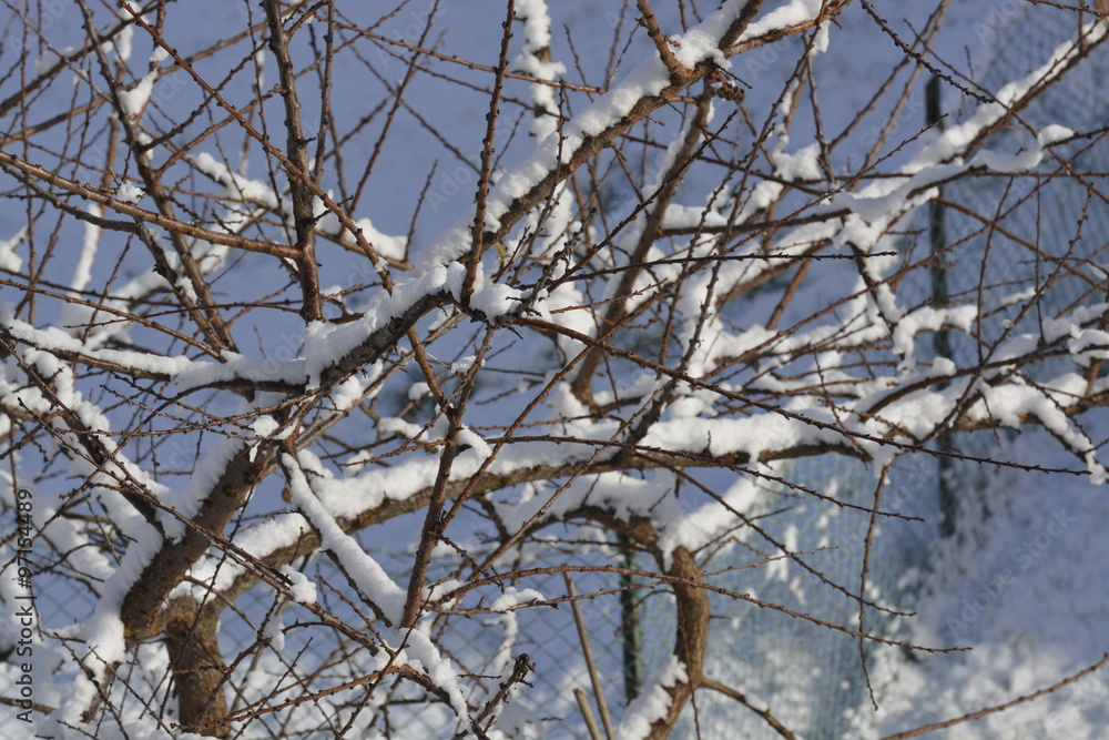 Obraz premium La prima neve
