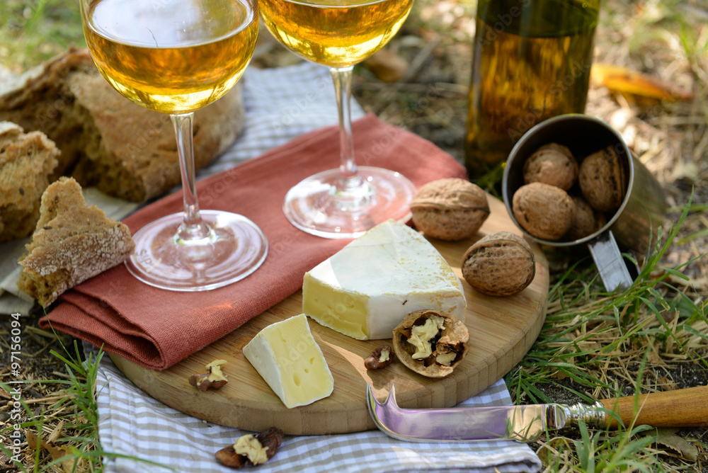 Beautiful composition of white wine, cheese, nuts and bread on the ground in the park