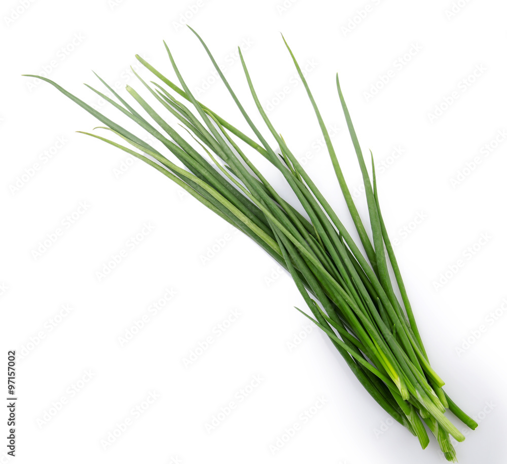 Fresh green onion isolated on white background Fresh green onion isolated on white background
