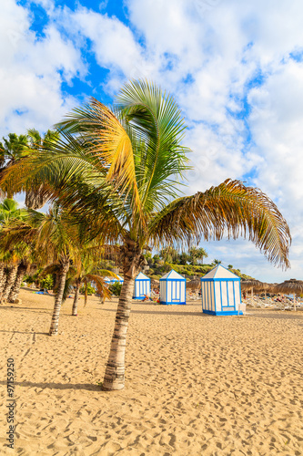 Palm trees on exotic sandy El Duque beach in Costa Adeje town, Tenerife, Canary Islands, Spain © pkazmierczak