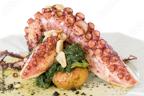 Fototapeta Naklejka Na Ścianę i Meble -  grilled octopus