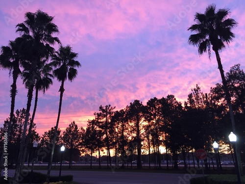 Pink Florida Sunset