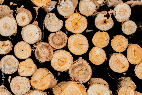 Wooden logs texture background