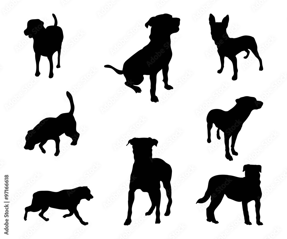 Silhouette Rottweiler Dog