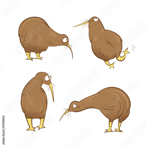 Cute cartoon kiwi birds set. Vector image. Australian birds.