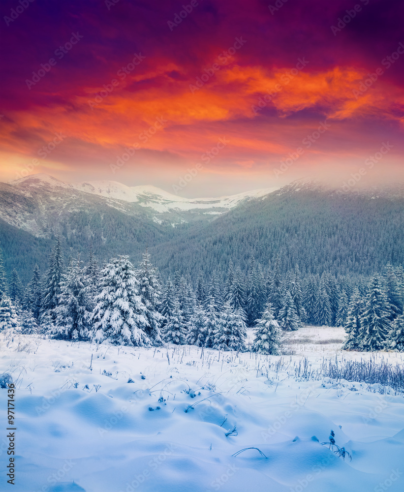 Dramatic winter sunset in the snowy mountains. Dramatic winter sunset in the snowy mountains.