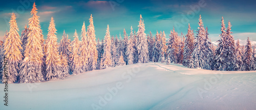 Colorful winter panorama of snowy mountains. #97171477