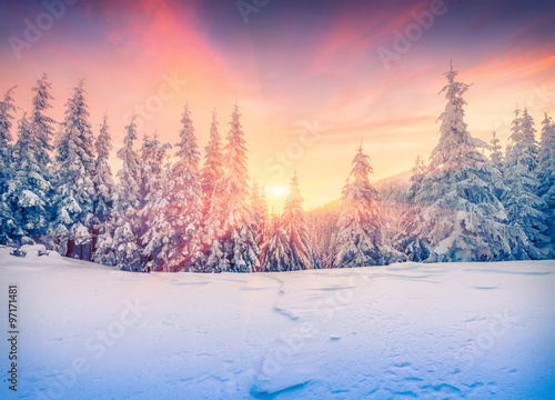 Colorful winter sunset in mountain forest © Andrew Mayovskyy