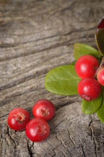 Ripe fresh forest cranberries on the texture wooden background