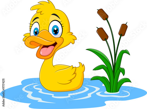 Cute baby duck floats on water 