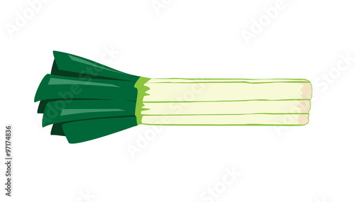 Vector image of leeks