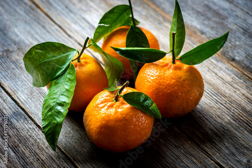 Fresh tangerines