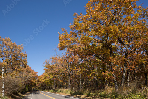 紅葉した那須街道