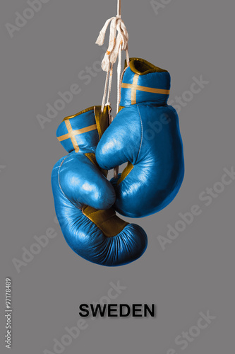 Boxing Gloves in the Color of Sweden
