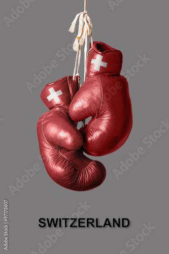 Boxing Gloves in the Color of Switzerland