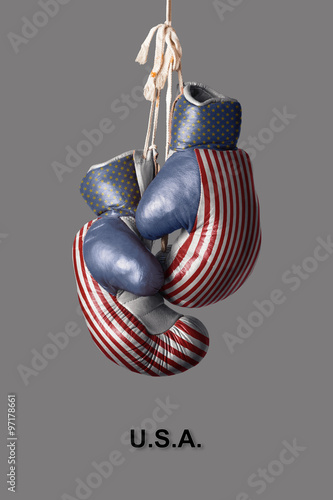Tableau sur toile Boxing Gloves in the Color of the USA