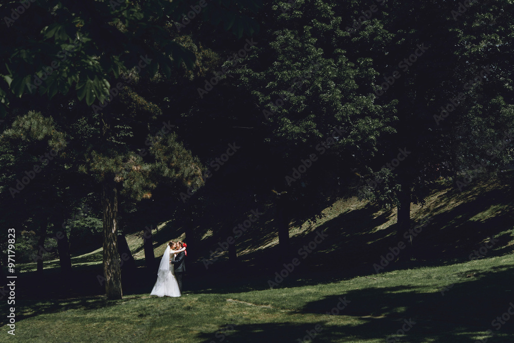 gorgeous happy luxury brunette bride and elegant stylish groom k gorgeous happy luxury brunette bride and elegant stylish groom k