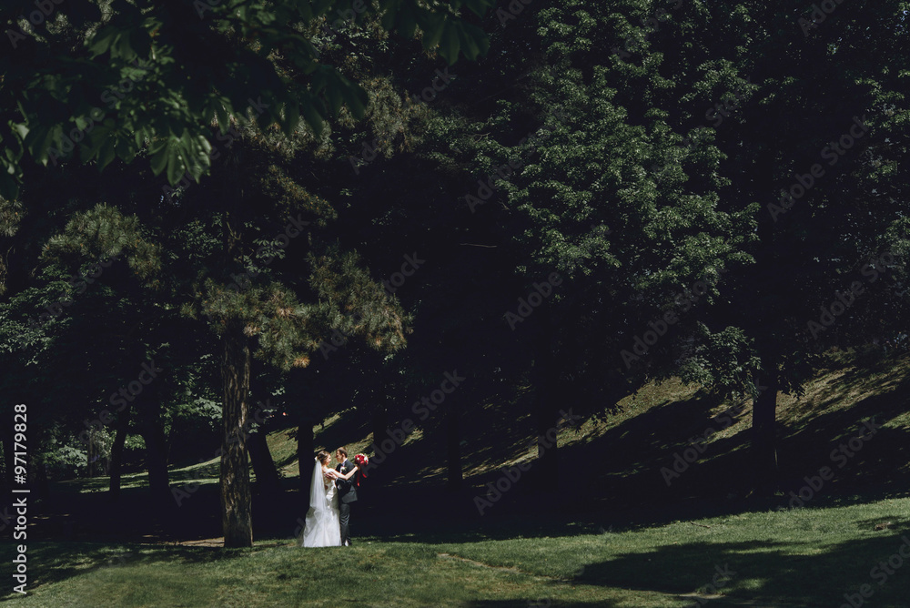 gorgeous happy luxury brunette bride and elegant stylish groom k gorgeous happy luxury brunette bride and elegant stylish groom k