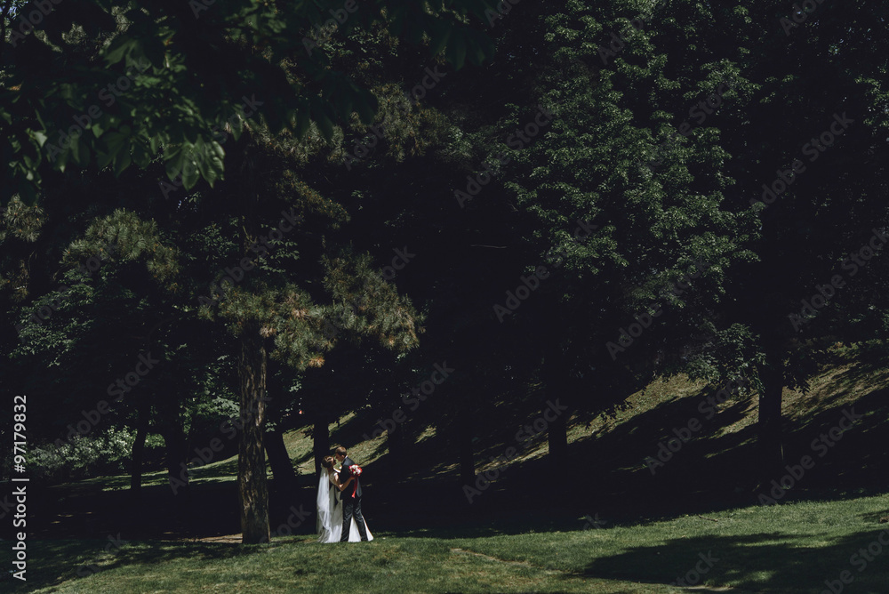 gorgeous happy luxury brunette bride and elegant stylish groom k gorgeous happy luxury brunette bride and elegant stylish groom k