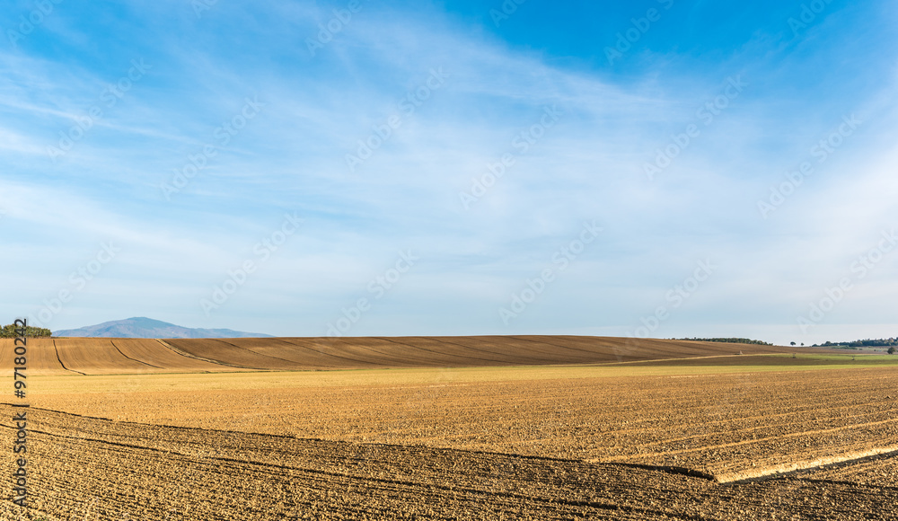 Fototapeta premium The campaign of Cortona between lines and colors of the cultivated land with wisdom