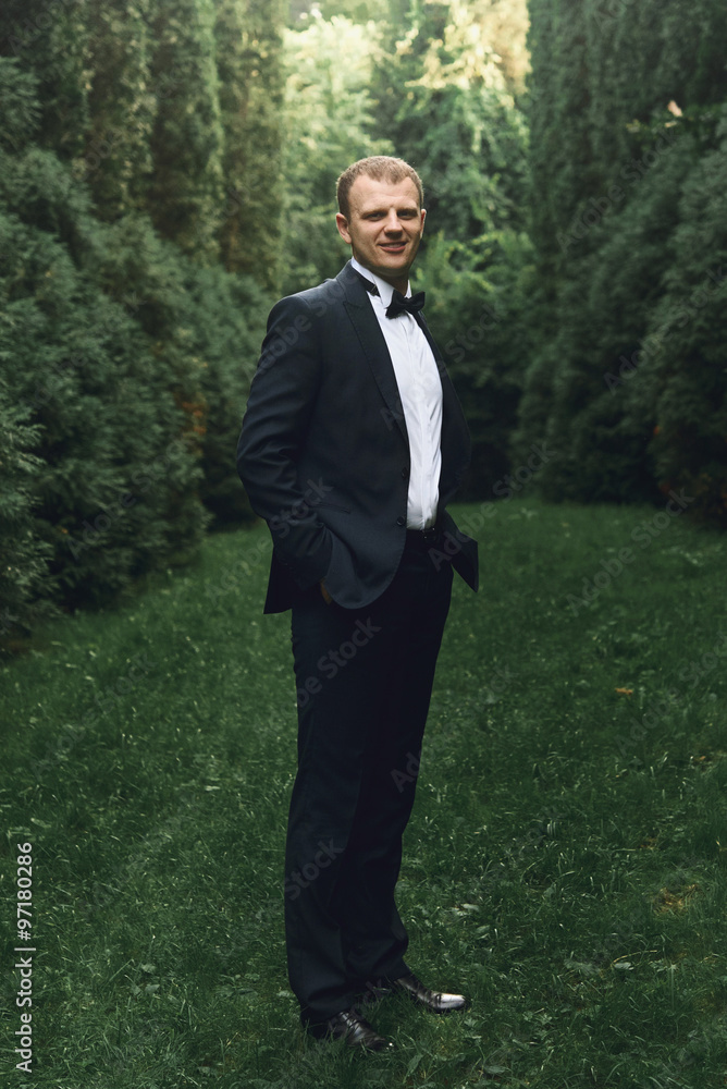gorgeous elegant luxury stylish groom posing on the background o gorgeous elegant luxury stylish groom posing on the background o