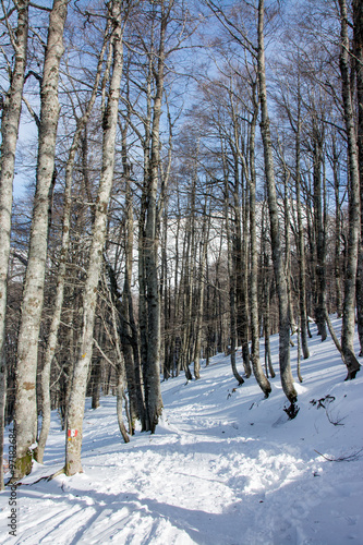 Italian winter landscape in mountain © puckillustrations