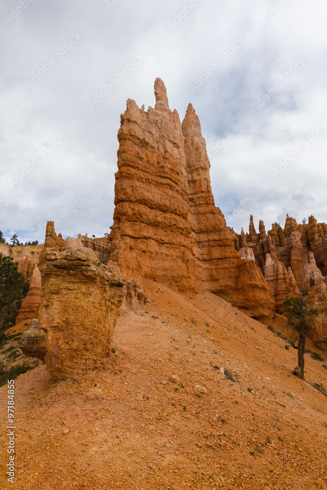 Orange hoodoo rocks in Bryce Canyon