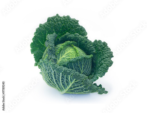 Savoy cabbage photo