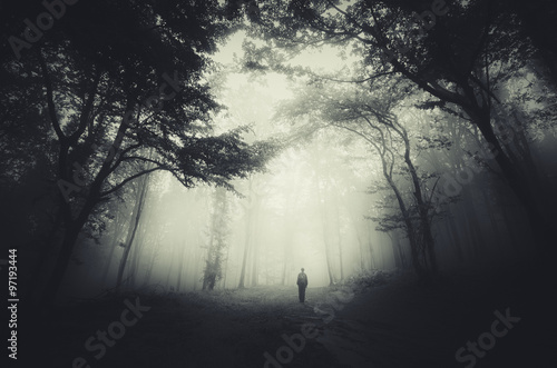spooky forest scene with man silhouette and dark fog