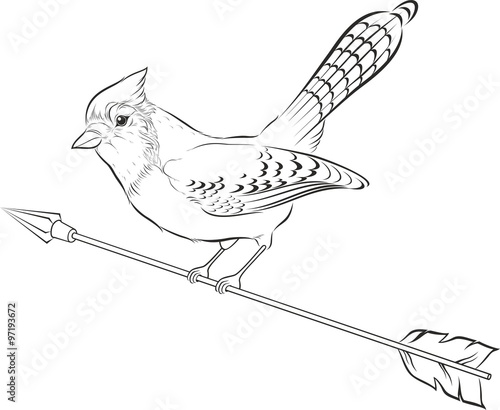 Vector illustration of blue jay silhouette. Bird.