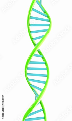 DNA structure model on white