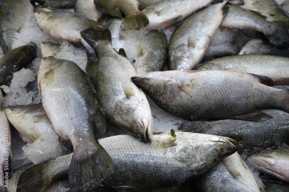 Milk fish in the market Milk fish in the market