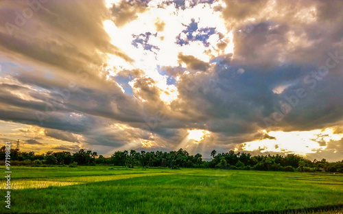 Rice farm with cloudy HDR © tmoteam